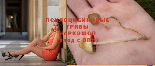 а пвп мука Бородино