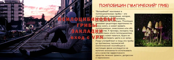 а пвп мука Бородино