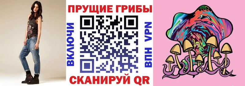 Купить где  Куса  Псилоцибиновые грибы Magic Shrooms 